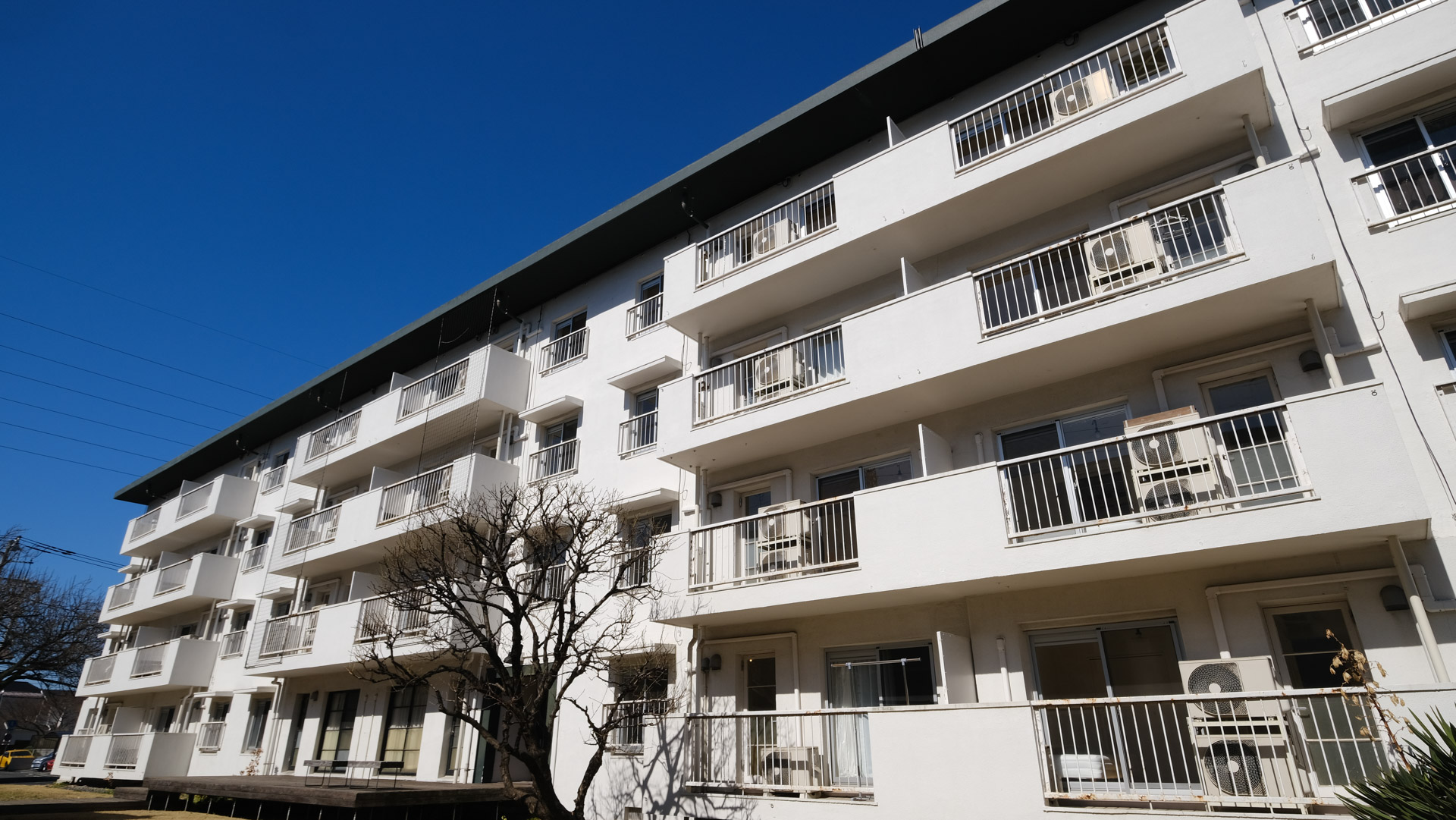 マンガ家約30人が暮らすトキワ荘プロジェクトの新拠点 多摩トキワソウ団地 がオープン トキワ荘プロジェクト